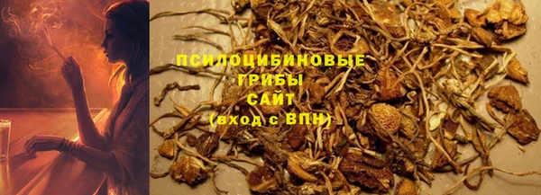 мдпв Зерноград