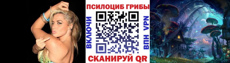 Купить где  Ельня  Псилоцибиновые грибы MAGIC MUSHROOMS 