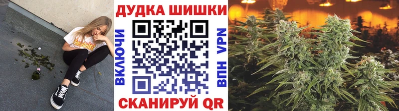 Конопля ГИДРОПОН  Купить закладки  Ельня 